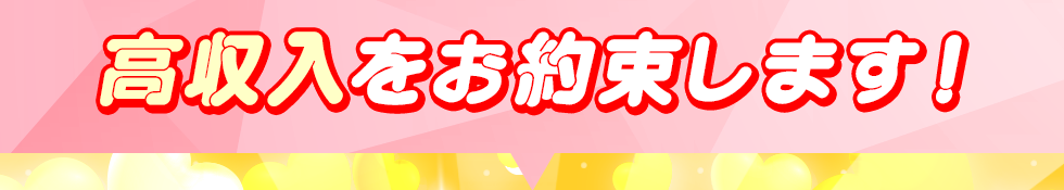 高収入をお約束します！